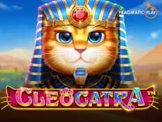 Bedava casino slot oyunları oyna28